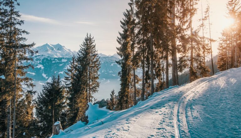 trees, winter, mountains